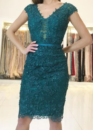 Hot Deals You Can’t Resist!Fashion Appliques Sheath homecoming Dress, Beading Short Evening Dress for Party, Formal Gown cg2160