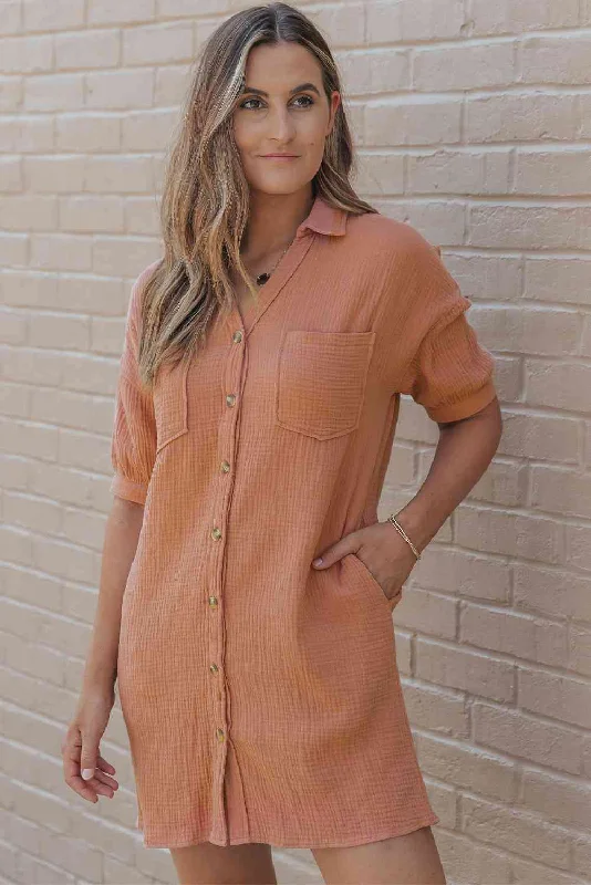 Your Wallet Will Thank You!Collared Neck Mini Dress with Pockets