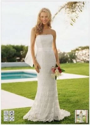 Your Shopping Spree Starts Here!David's Bridal Vw9340ivory